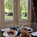 The Hideaway At (adults Only)